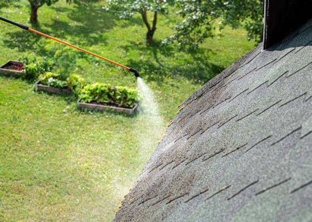 Nous proposons des services de nettoyage de toiture de qualité à Saint-Priest. Nos techniques éprouvées assurent une propreté optimale de votre toiture tout en préservant sa durabilité. Contactez-nous pour plus d'informations sur nos services et pour obtenir une estimation gratuite.